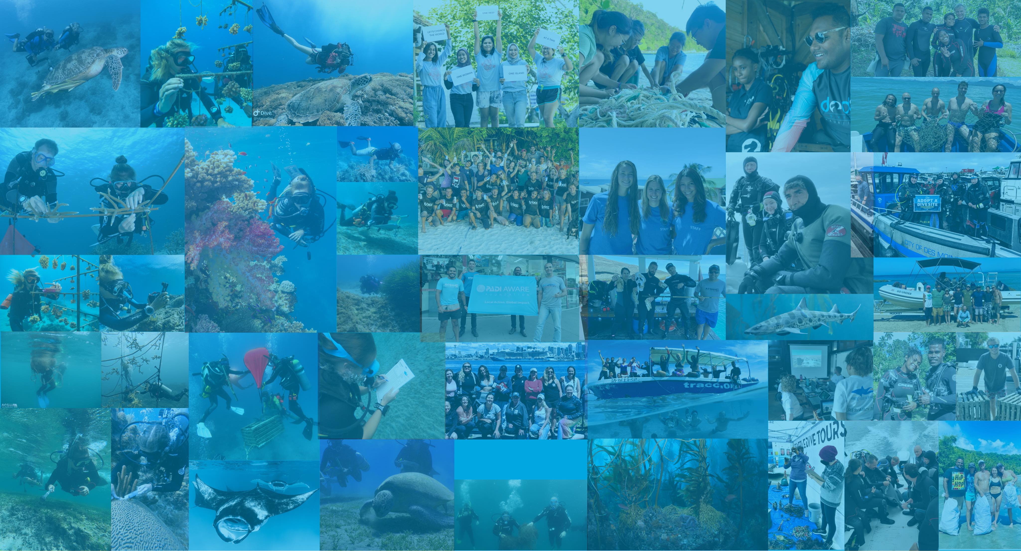 PADI AWARE Header Image Holiday Campaign