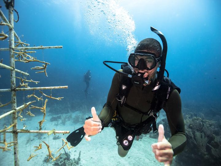 A diver giving a thumbs up underwater