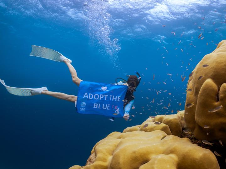 A diver holding up a PADI AWARE sign in the ocean.
